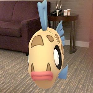 Meet your Posher, Ada-marie